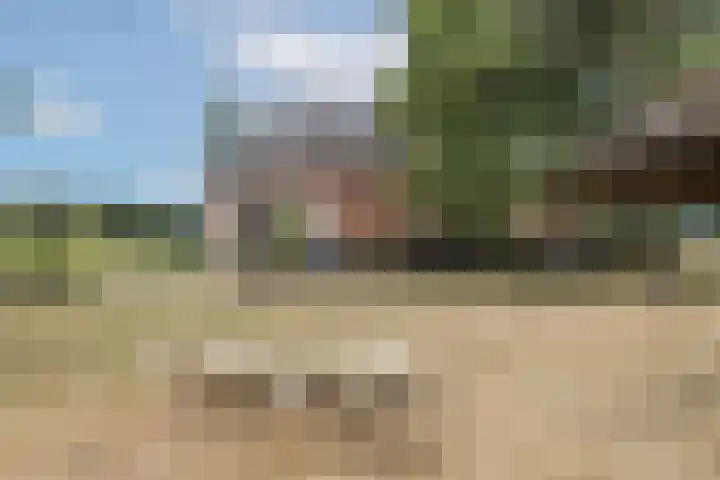 Hamminkweg 1 Vorden thumbnail 10