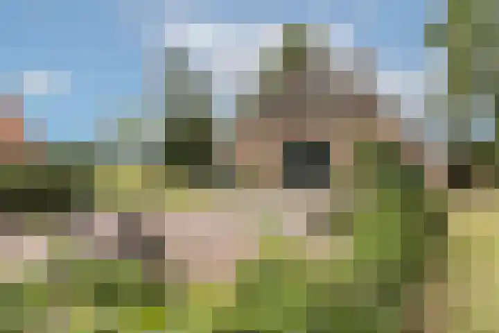 Hamminkweg 1 Vorden thumbnail 11