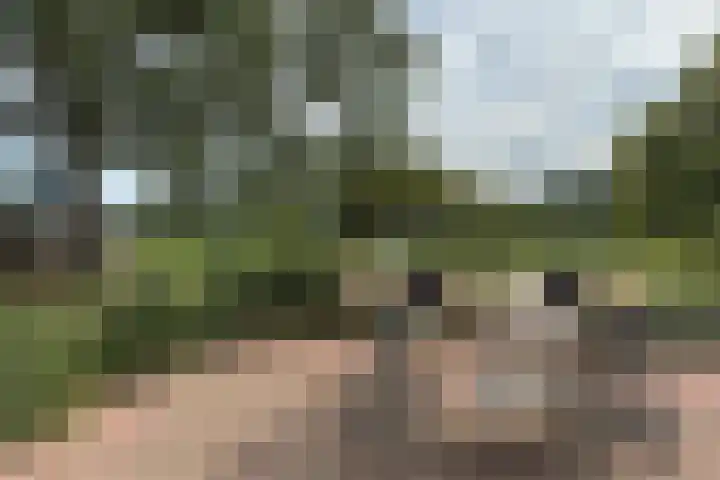 Hamminkweg 1 Vorden thumbnail 12
