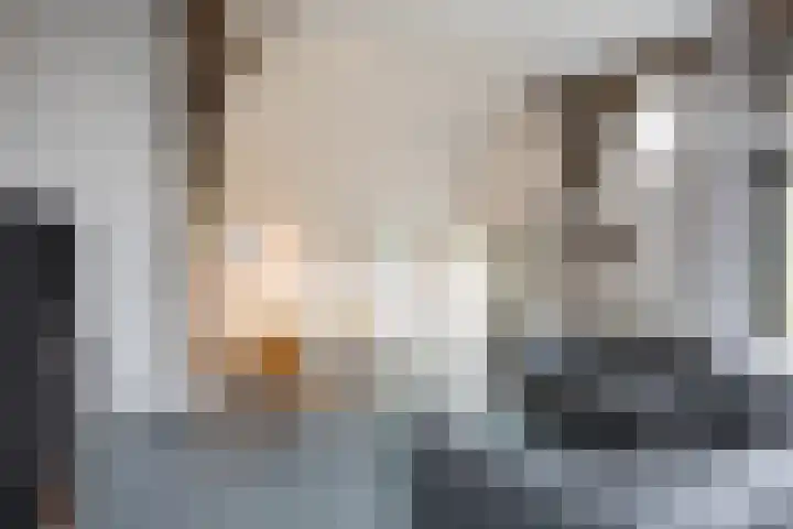 Hamminkweg 1 Vorden thumbnail 16