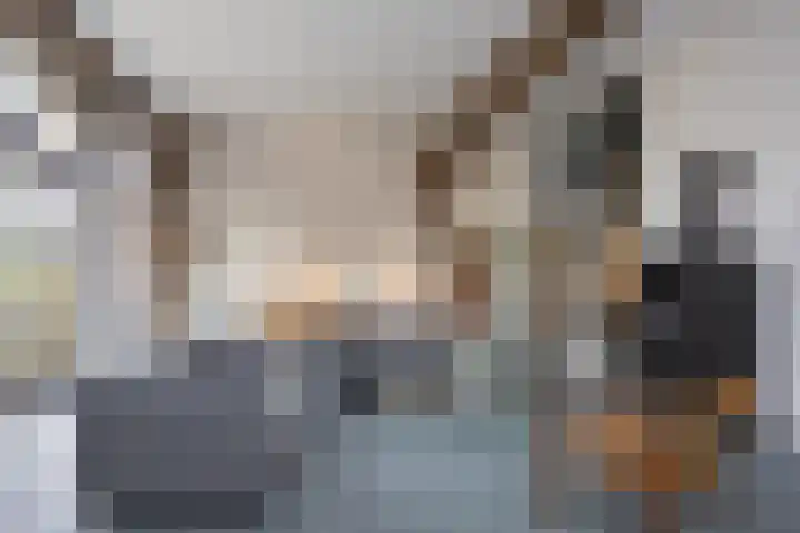 Hamminkweg 1 Vorden thumbnail 17