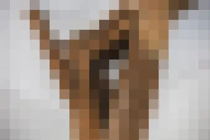 Hamminkweg 1 Vorden thumbnail 20