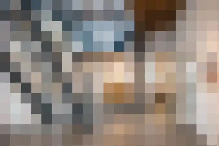 Hamminkweg 1 Vorden thumbnail 21