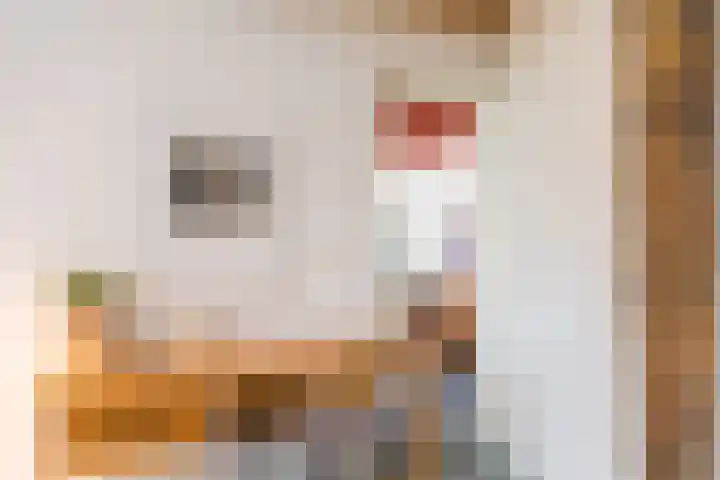 Hamminkweg 1 Vorden thumbnail 24