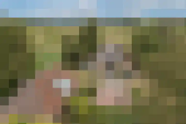 Hamminkweg 1 Vorden foto 3
