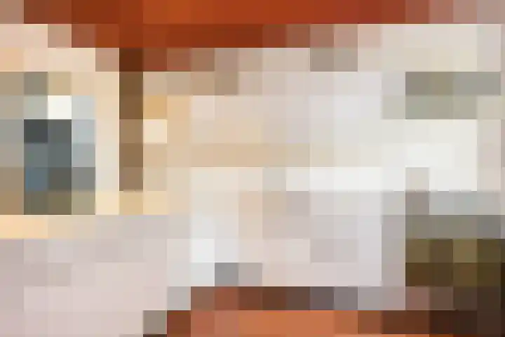 Hamminkweg 1 Vorden thumbnail 34