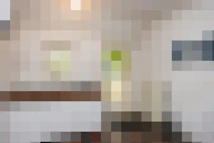 Hamminkweg 1 Vorden thumbnail 39