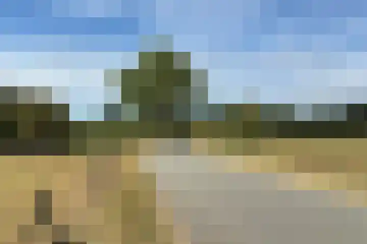 Hamminkweg 1 Vorden thumbnail 4