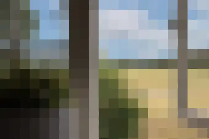 Hamminkweg 1 Vorden thumbnail 43