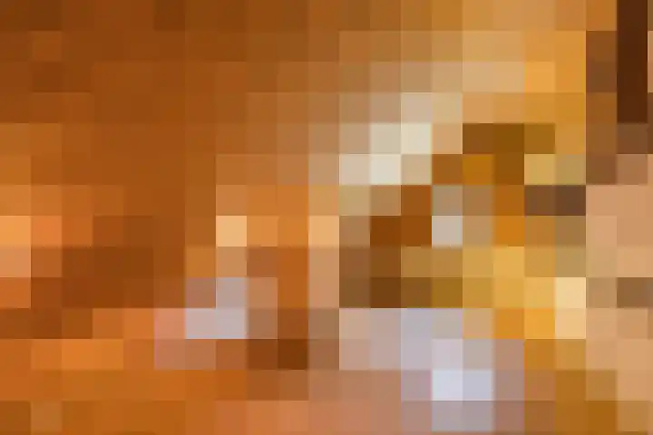 Hamminkweg 1 Vorden thumbnail 48