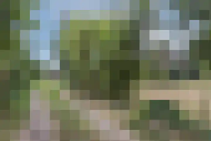 Hamminkweg 1 Vorden thumbnail 5