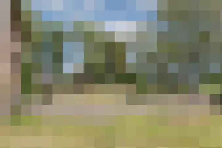 Hamminkweg 1 Vorden thumbnail 52