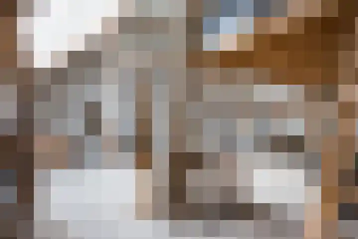 Hamminkweg 1 Vorden thumbnail 57