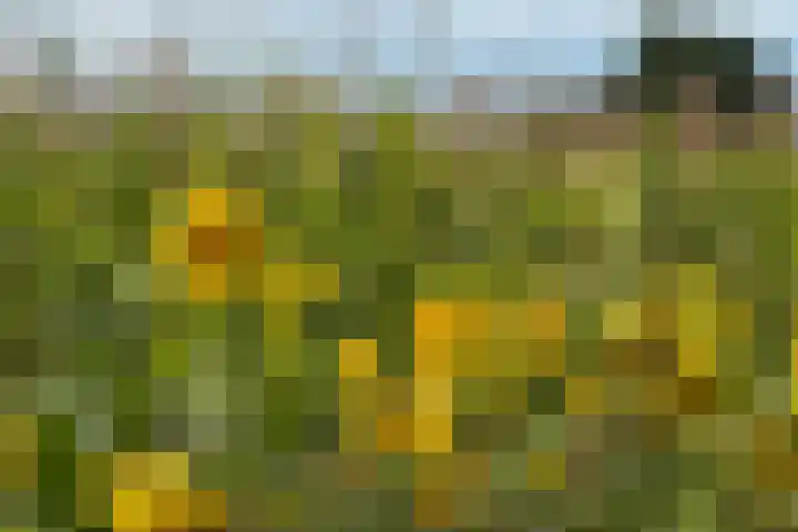 Hamminkweg 1 Vorden thumbnail 58