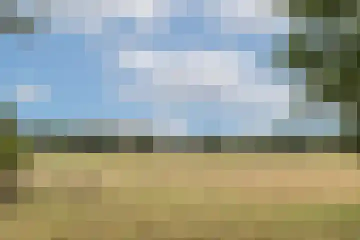 Hamminkweg 1 Vorden thumbnail 59