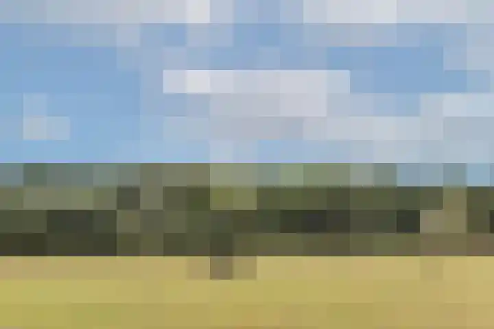 Hamminkweg 1 Vorden thumbnail 60