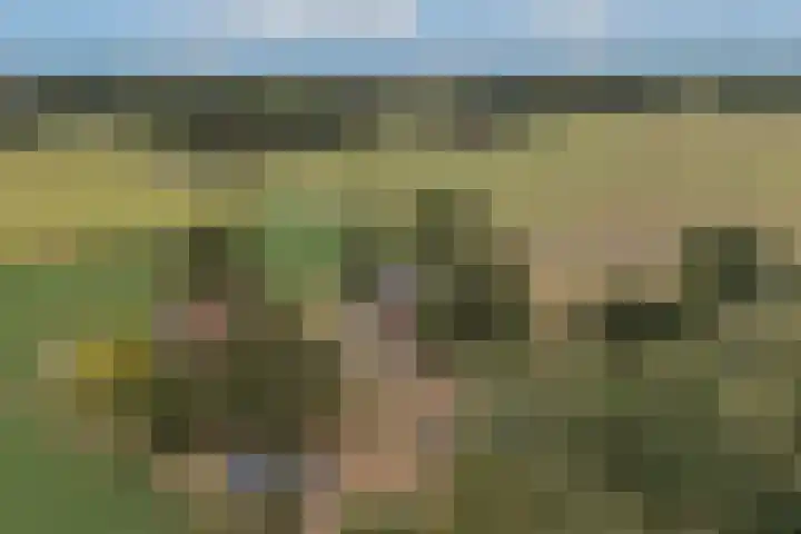 Hamminkweg 1 Vorden thumbnail 61
