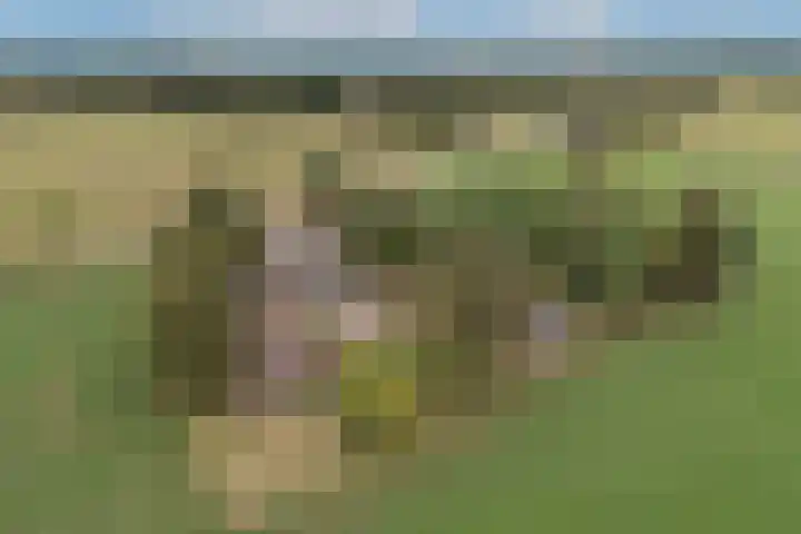 Hamminkweg 1 Vorden thumbnail 62