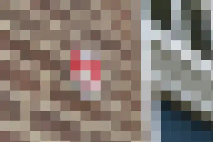 Hamminkweg 1 Vorden thumbnail 8