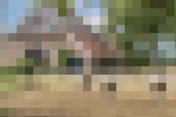 Hamminkweg 1 Vorden thumbnail 9