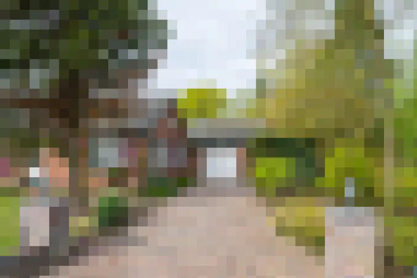Hamminkweg 8 Vorden thumbnail 11