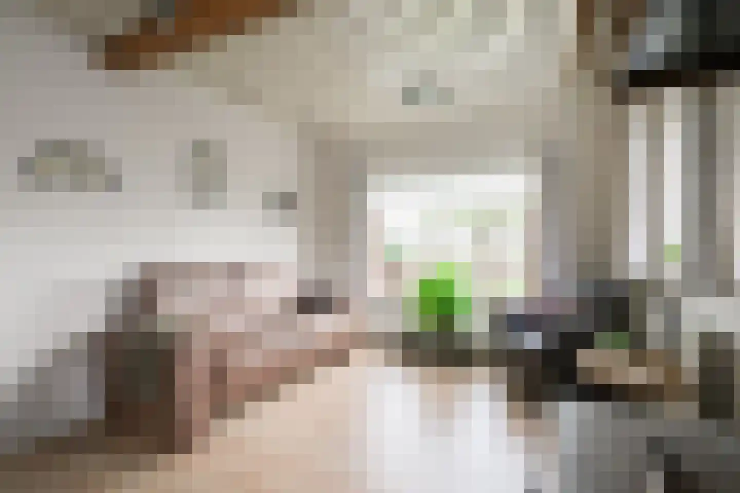 Hamminkweg 8 Vorden thumbnail 17