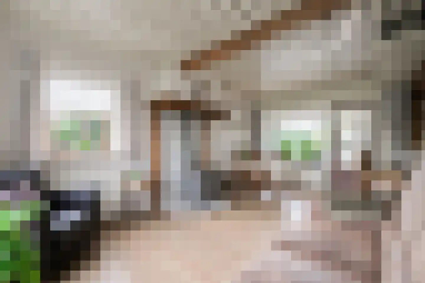 Hamminkweg 8 Vorden thumbnail 18