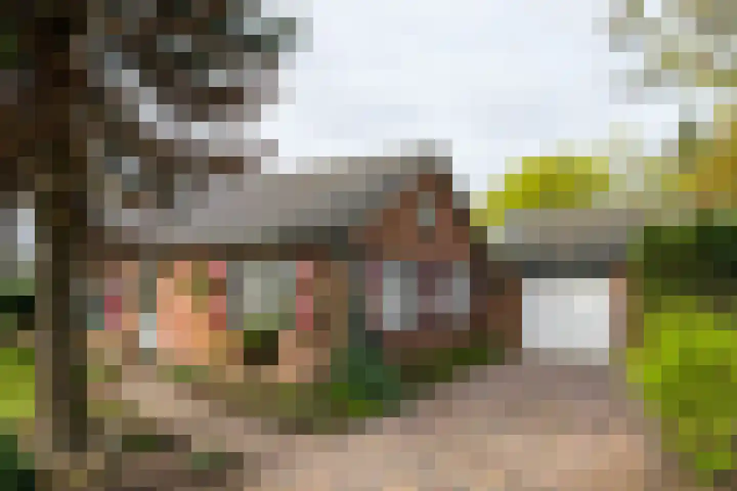 Hamminkweg 8 Vorden foto 2