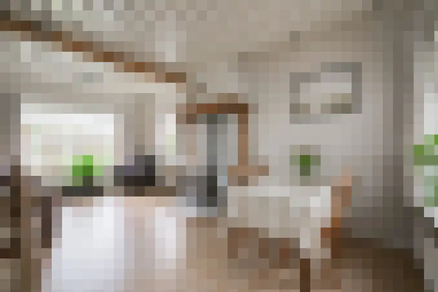 Hamminkweg 8 Vorden thumbnail 21