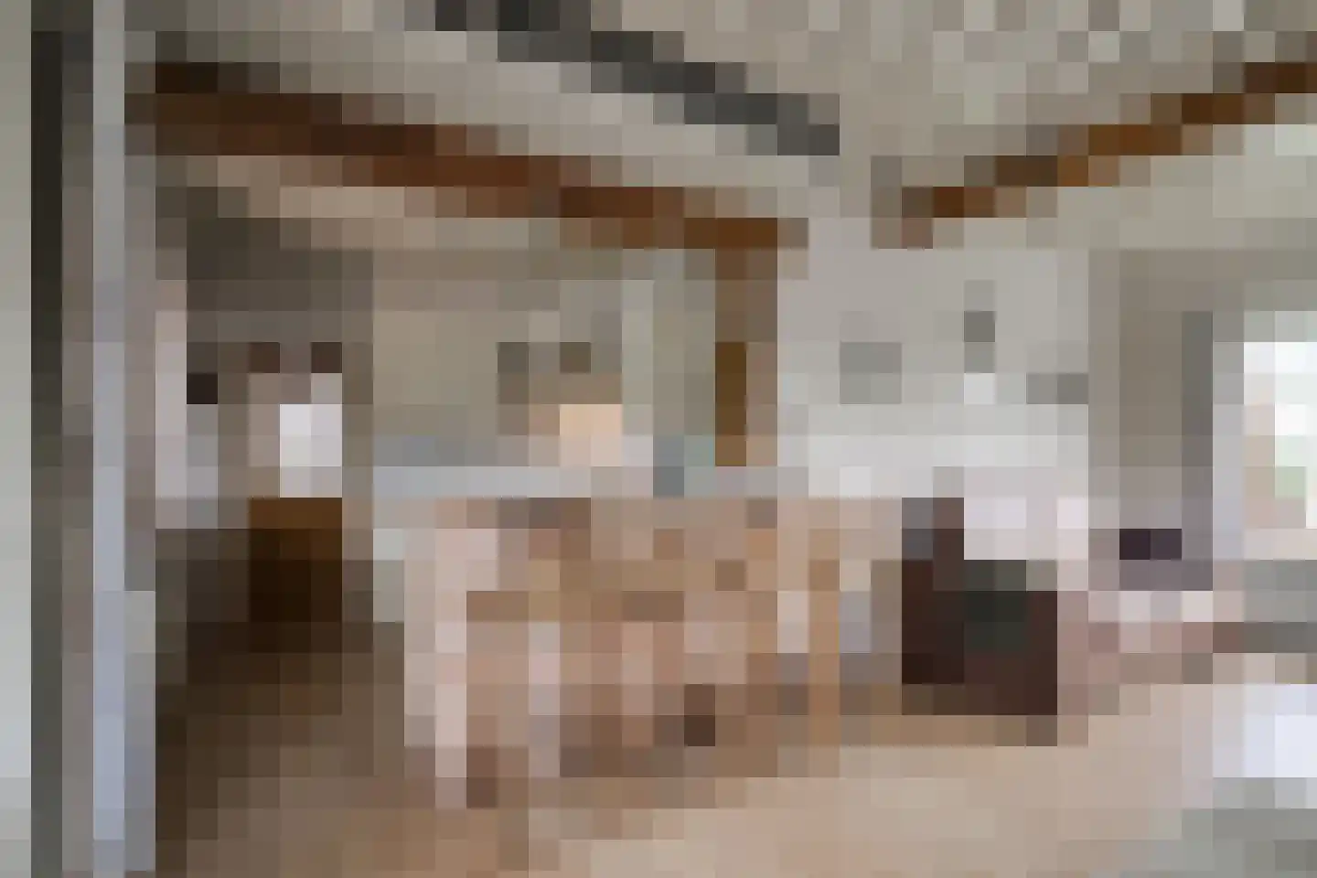 Hamminkweg 8 Vorden thumbnail 22