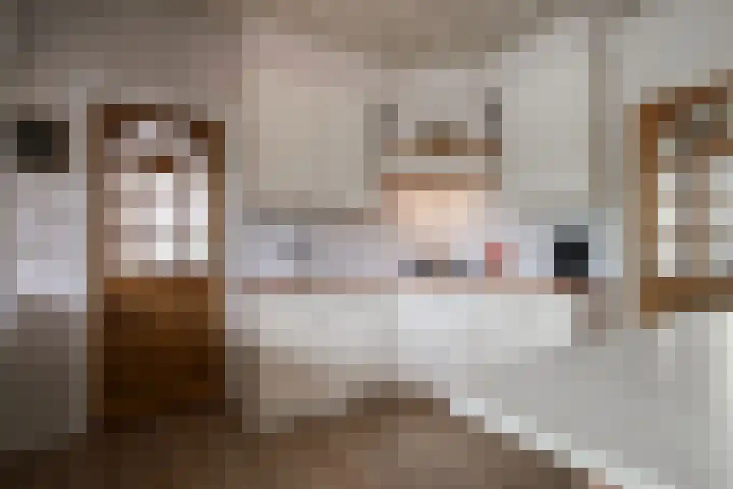 Hamminkweg 8 Vorden thumbnail 23