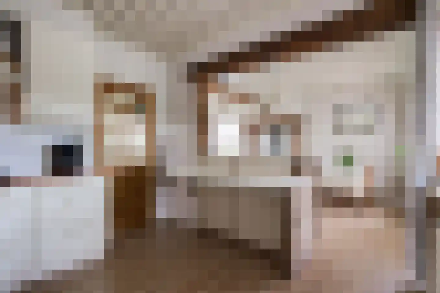 Hamminkweg 8 Vorden thumbnail 25