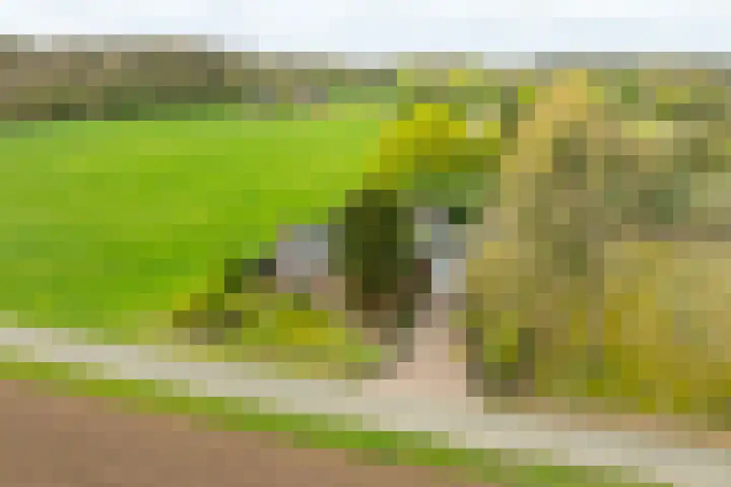 Hamminkweg 8 Vorden thumbnail 4