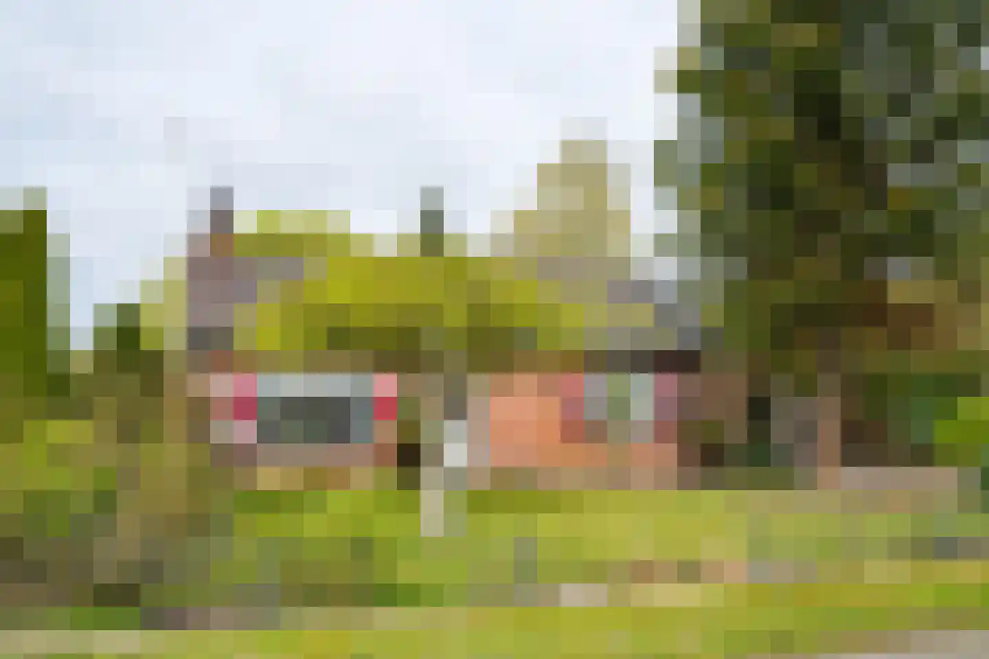 Hamminkweg 8 Vorden thumbnail 5
