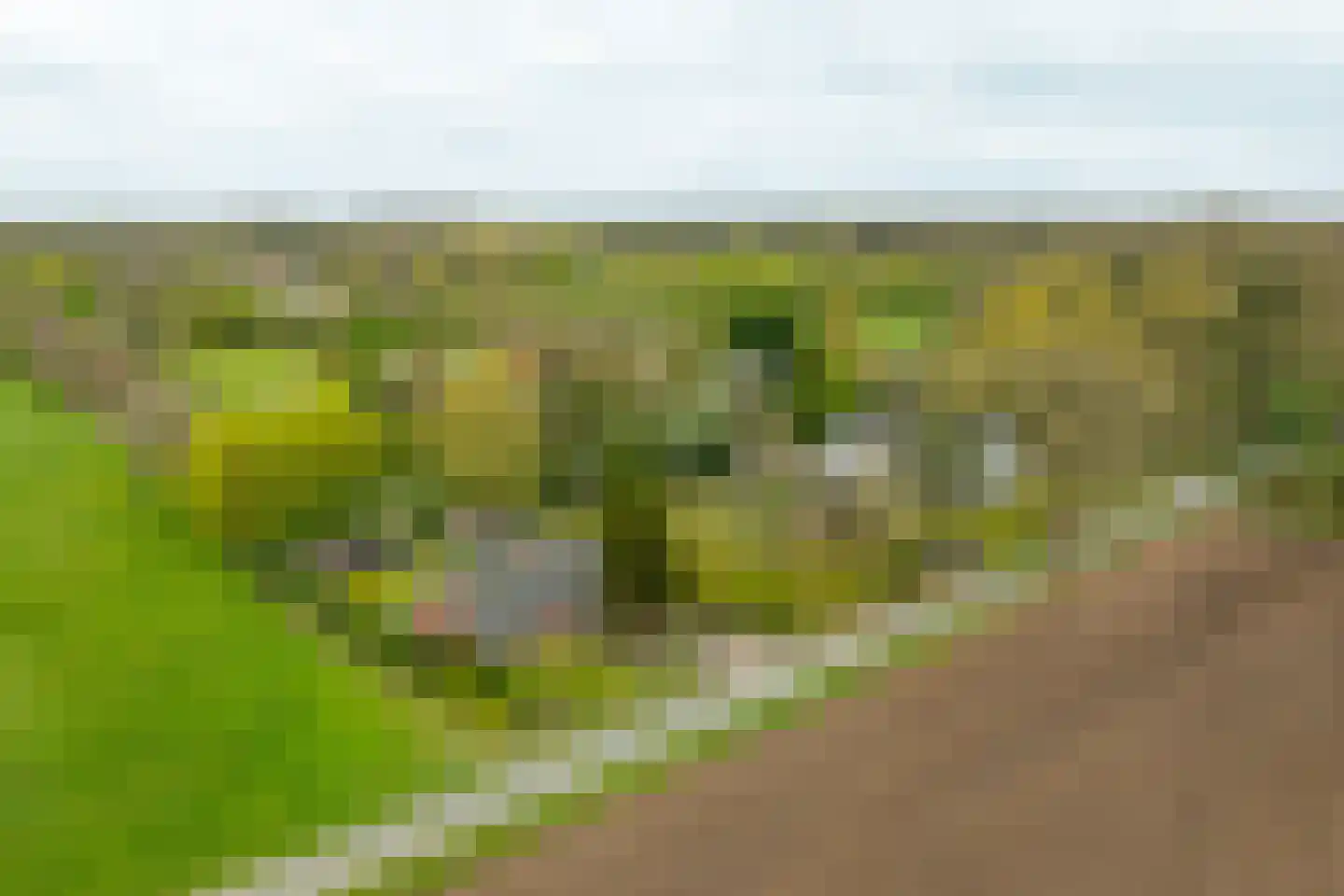 Hamminkweg 8 Vorden thumbnail 51