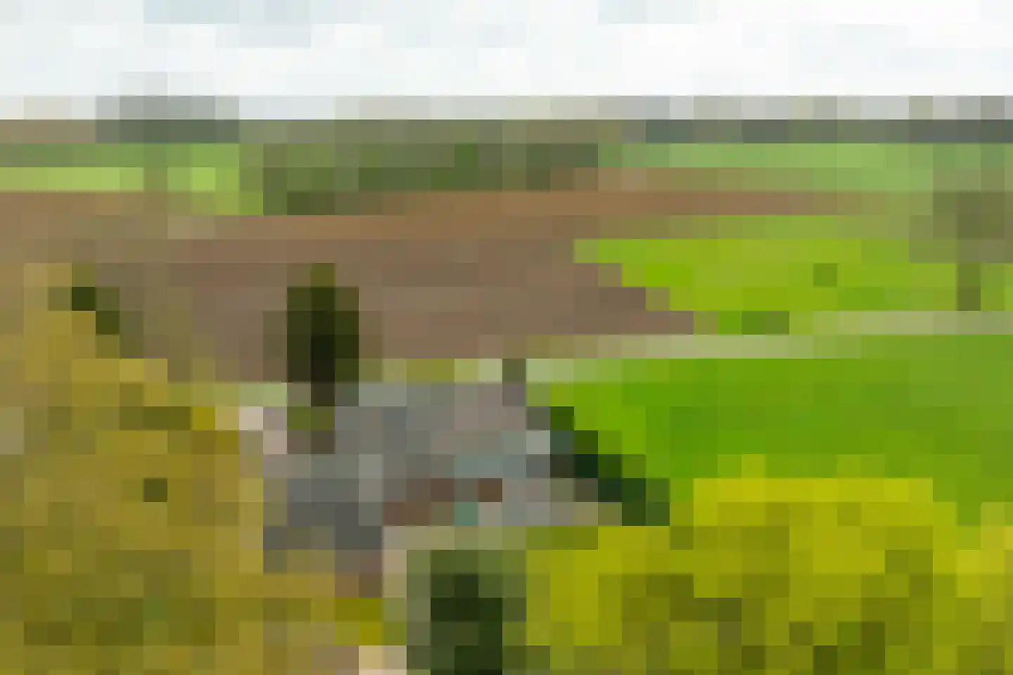 Hamminkweg 8 Vorden thumbnail 52