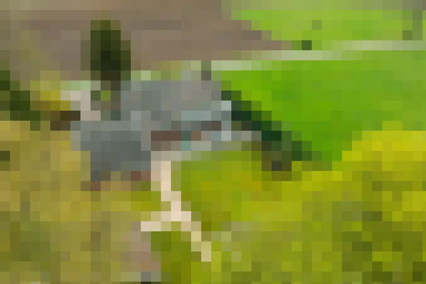 Hamminkweg 8 Vorden thumbnail 53