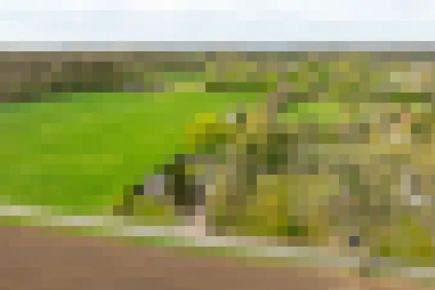 Hamminkweg 8 Vorden thumbnail 54