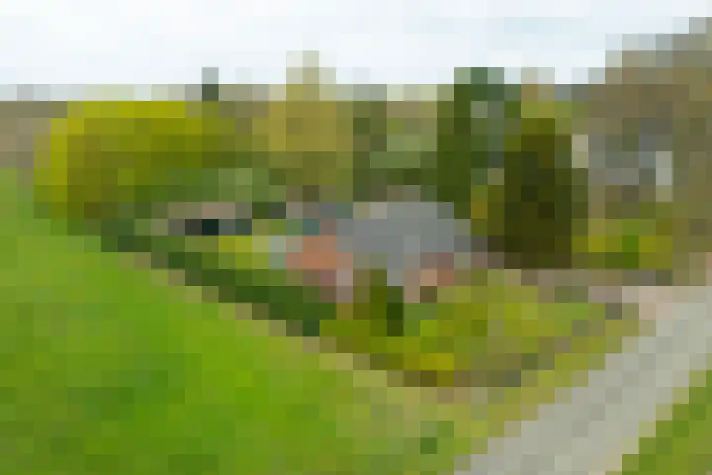 Hamminkweg 8 Vorden thumbnail 6