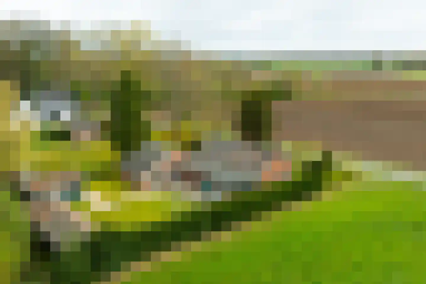 Hamminkweg 8 Vorden thumbnail 7
