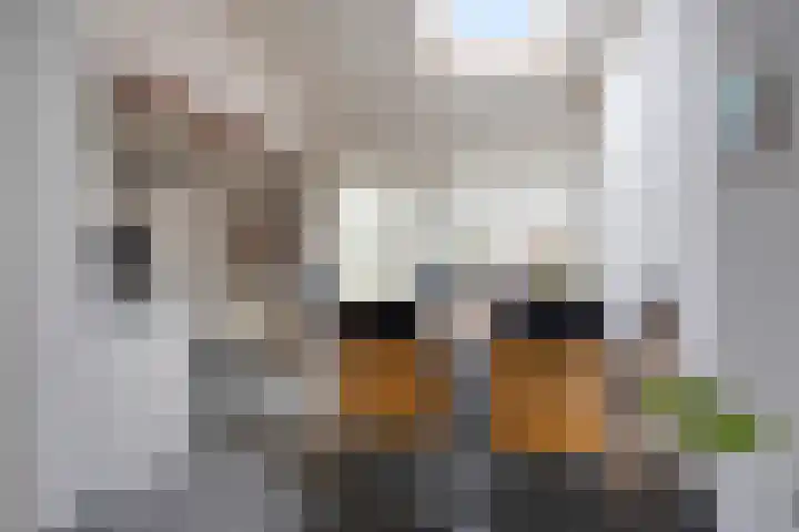 Hammolenweg 16 Kerkrade thumbnail 5