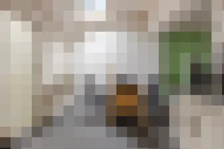 Hammolenweg 16 Kerkrade thumbnail 7