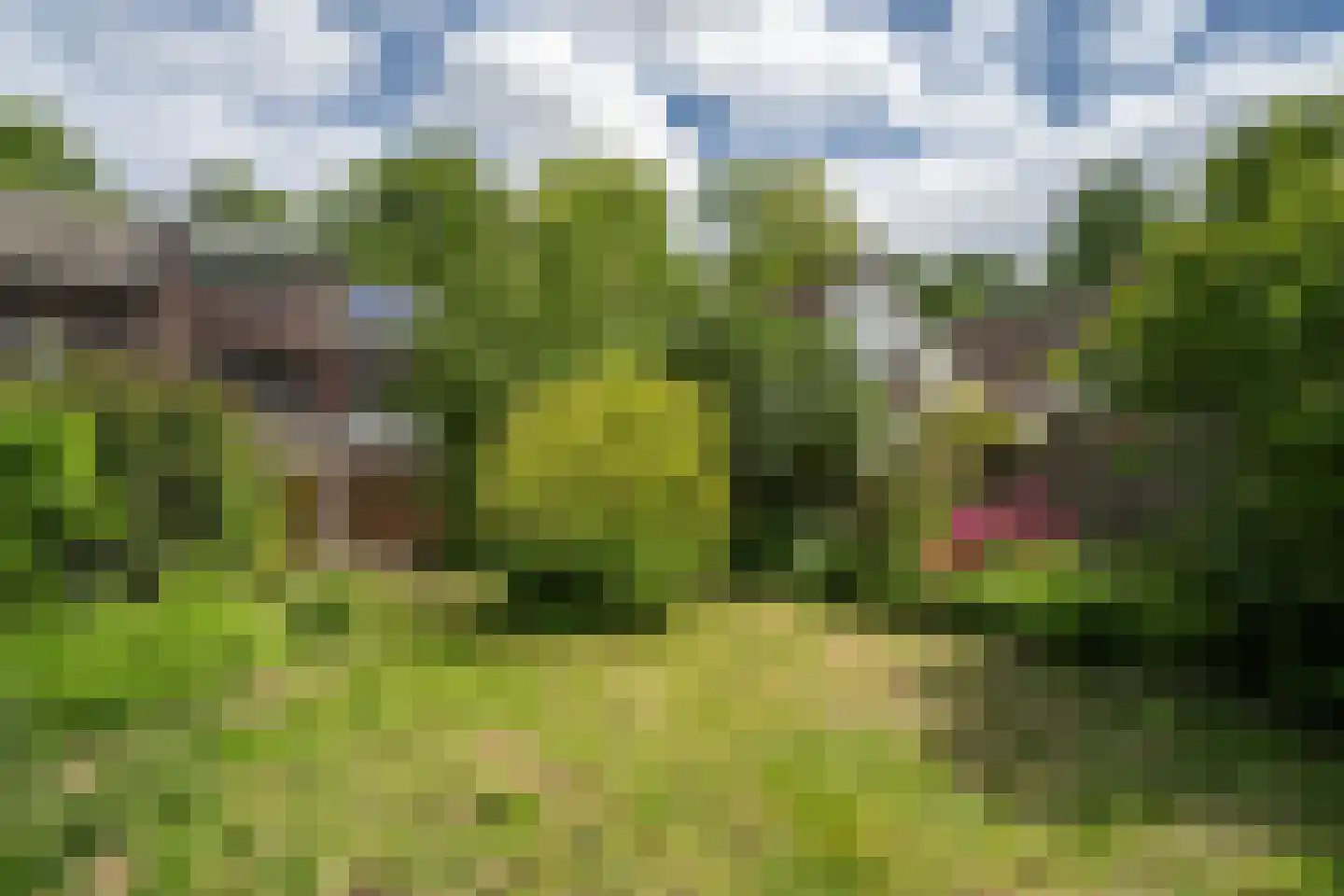 Hammolenweg 48 Kerkrade thumbnail 6