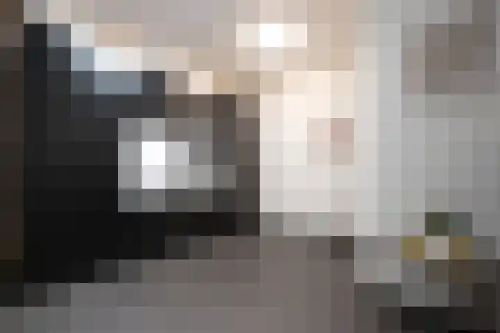 Hammolenweg 7 A Kerkrade thumbnail 12