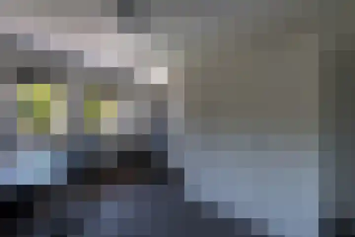 Hammolenweg 7 A Kerkrade thumbnail 19