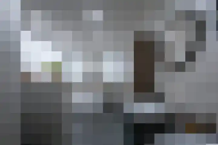 Hammolenweg 7 A Kerkrade thumbnail 23