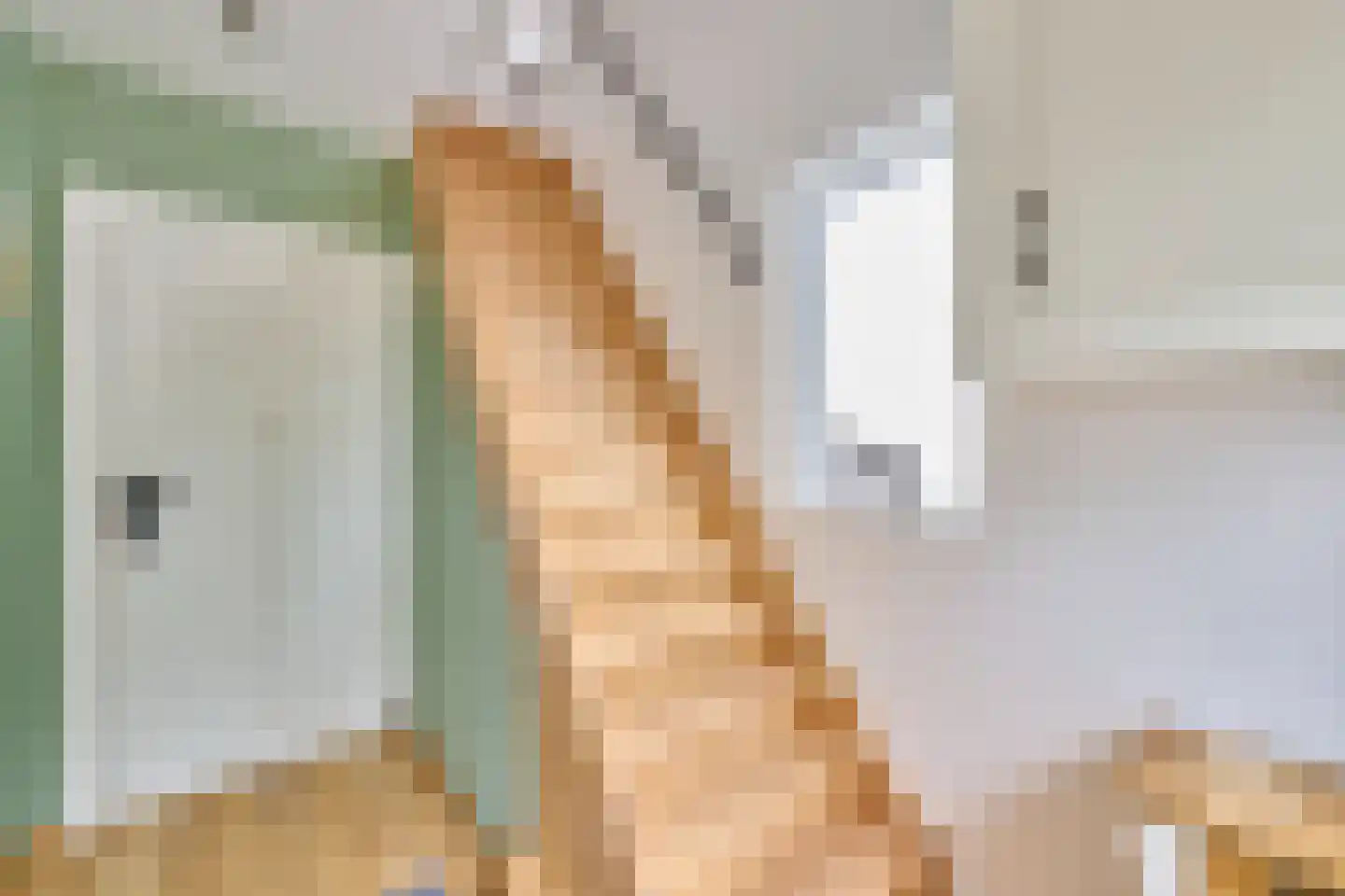 Hamonterweg 115 Budel-Schoot thumbnail 15