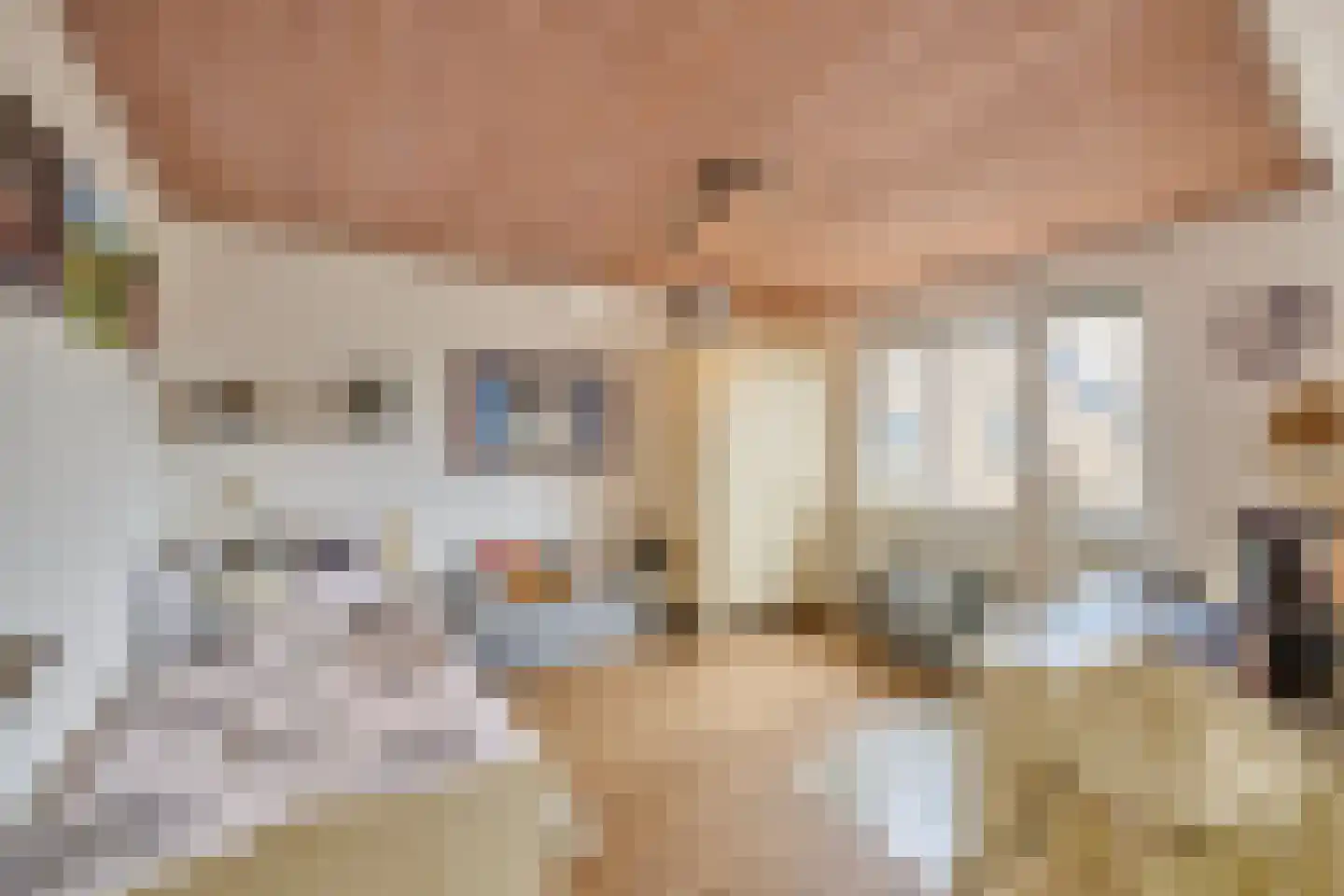 Hamonterweg 115 Budel-Schoot thumbnail 17