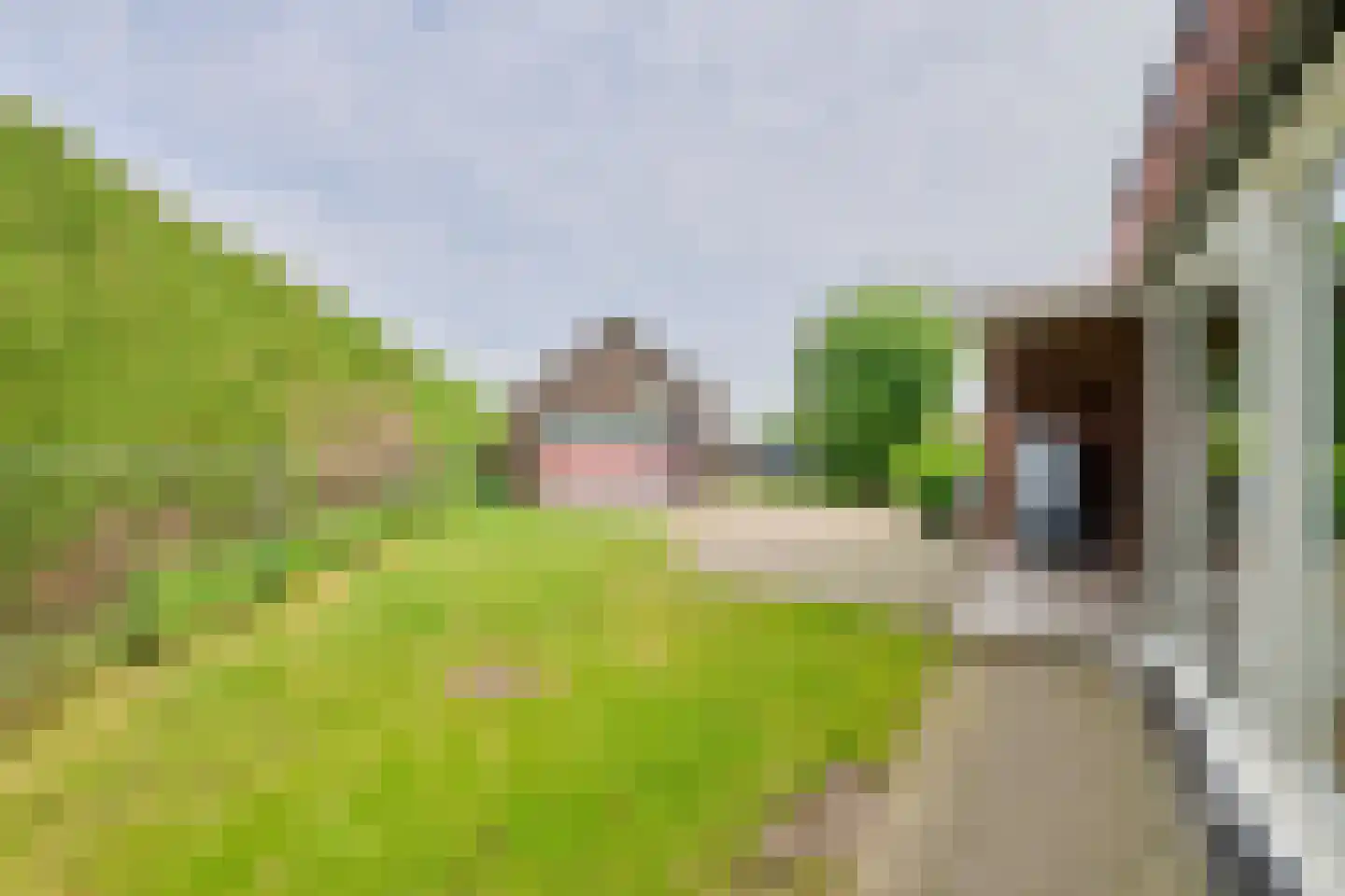 Hamonterweg 115 Budel-Schoot thumbnail 24