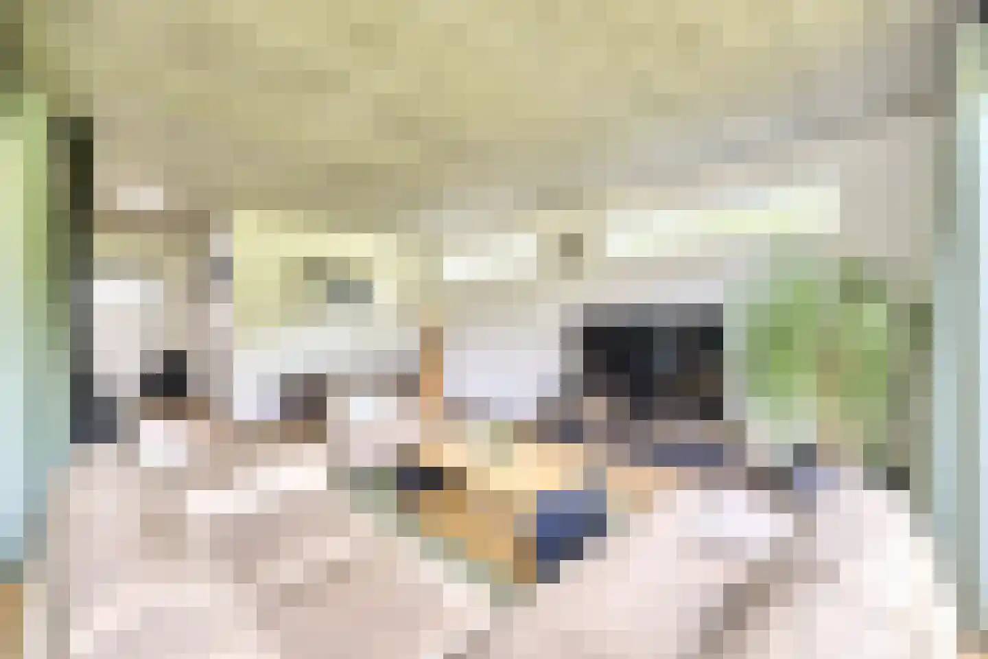 Hamonterweg 115 Budel-Schoot thumbnail 4